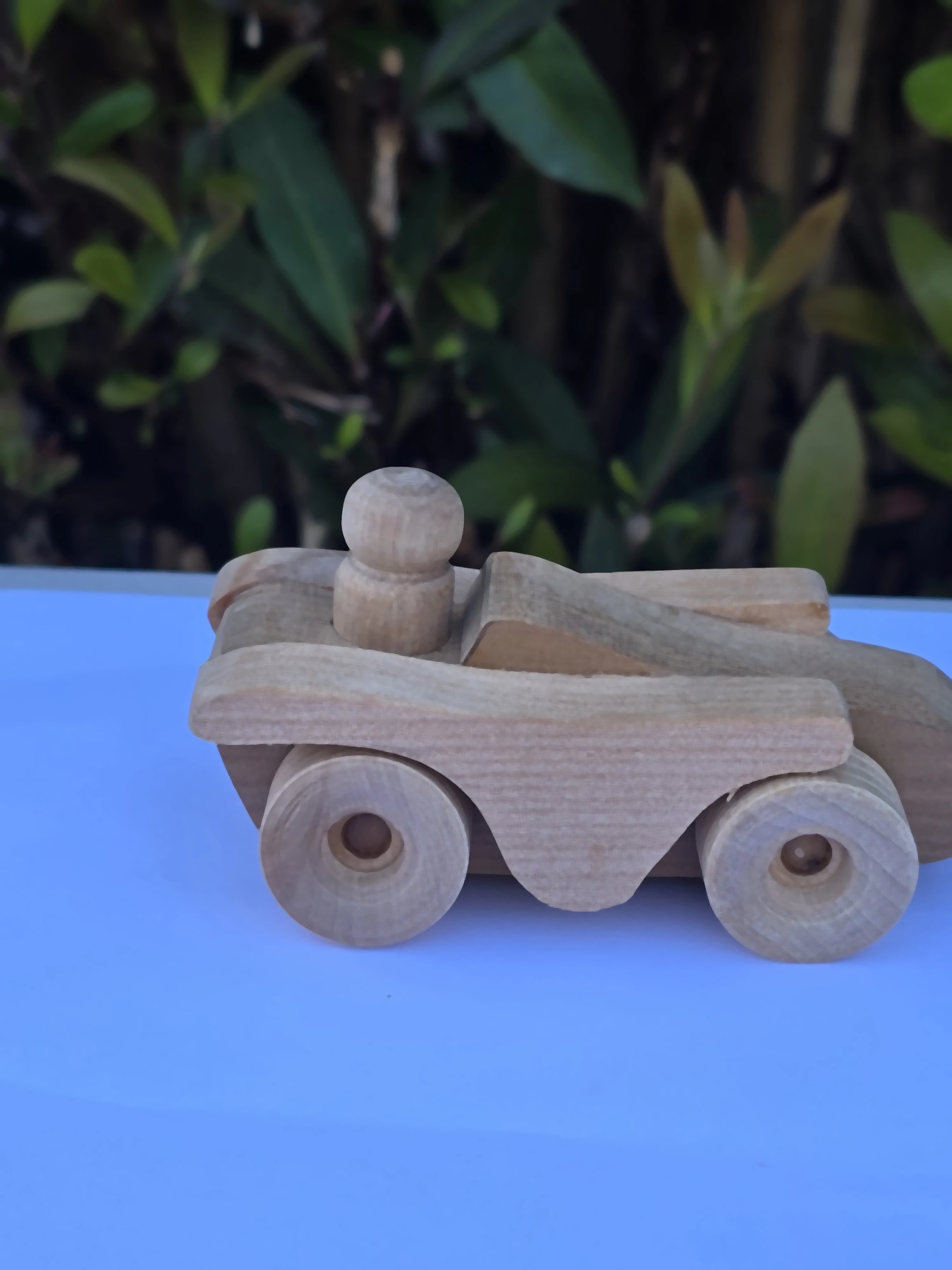 Sportster - Handcrafted wooden toy from New Zealand